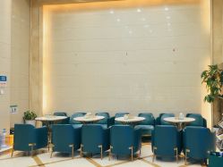 -碧莲盛·不剃发植发