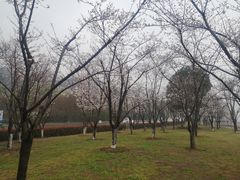 -幕燕滨江·长江观音景区