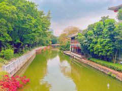 -荔湾湖公园
