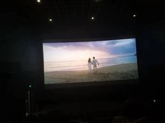 -SFC上影百联影城(川沙IMAX店)