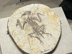 -辽宁古生物博物馆