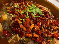 -洛阳白云山景区