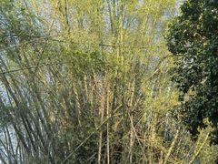 -巅峰减重高端减肥训练营(惠州店)