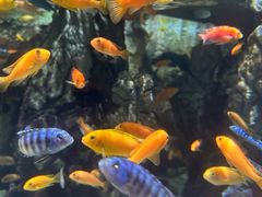 -太平洋海底世界