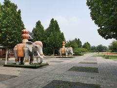 -永定河休闲森林公园