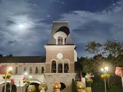 -中旅阿那亚九龙湖·公主酒店