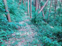 -黄公望隐居地