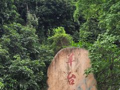 -阳台山森林公园