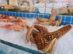 -视界美食自助餐厅·石家庄希尔顿酒店