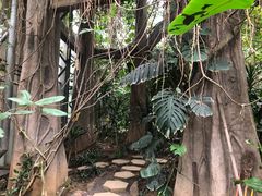 -南山植物园