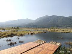 -腾冲北海湿地