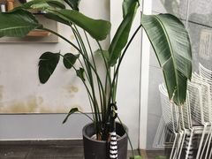 -UNI UNI(环亚凯瑟琳店)