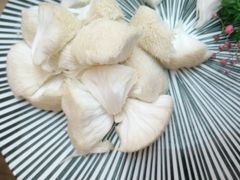 新鲜猴头菇-湯系·煲汤手艺人(东二环泰禾广场店)