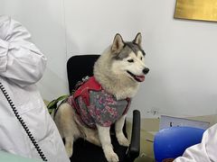 -北京赛佳动物医院