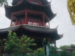 -中国扬子鳄村