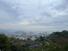 -福道