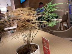 -奈雪的茶(新天地广场PRO店)