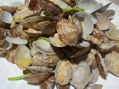 -船歌·鱼水饺青岛菜(闽江二路店)