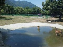 -西安秦岭野生动物园