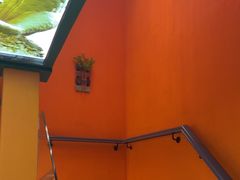 -泰古龙抓龙筋·spa按摩(静安店)