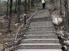 -东白山