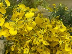 -宜家家居(高新商场店)