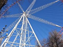 -哈尔滨文化公园