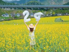 -光明小镇欢乐田园