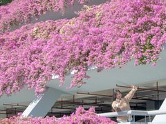 -深圳仙湖植物园-停车场