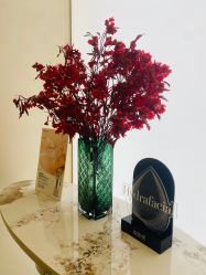 -Fundi张玉珊修身堂·indiba·BTL科技瘦身