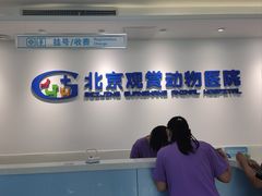 -北京观赏动物医院·24小时大型综合·猫专科·异宠专科