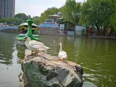 -团结湖公园