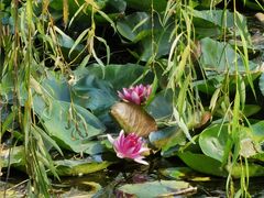 -永定河休闲森林公园