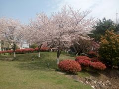 -苏州太湖国际会议中心