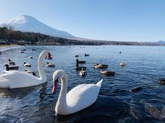 -富士山吉田線五合目