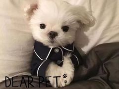 -玛喜达韩国料理·炸串·小吃(苏宁易购店)