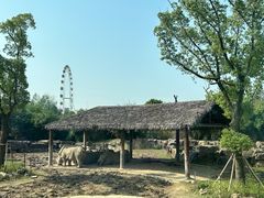 -上海野生动物园