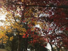 -白塘生态植物园