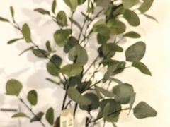 -房角石咖啡与书(吉大南校店)