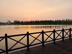 -盐城丹顶鹤湿地生态旅游区