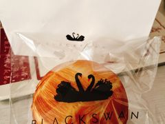 天鹅蛋-BLACKSWAN黑天鹅(环球店)