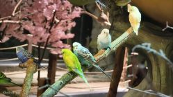 -酷嗒动物文化乐园(cutezoo西溪乐天城店)