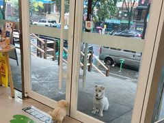 -艾贝尔宠物医院 ·中兽医·宠保定点(北门桥店)