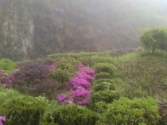 景点-东天目山风景区