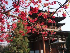 -西安青龙寺遗址景区