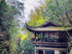 -藏龙百瀑风景区