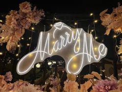 -迈瑞米求婚策划(静安店)