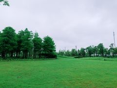 -春花秋色城市公园