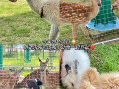 -云梦方舟欢乐水世界