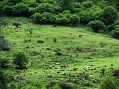 -硗碛藏寨·神木垒景区